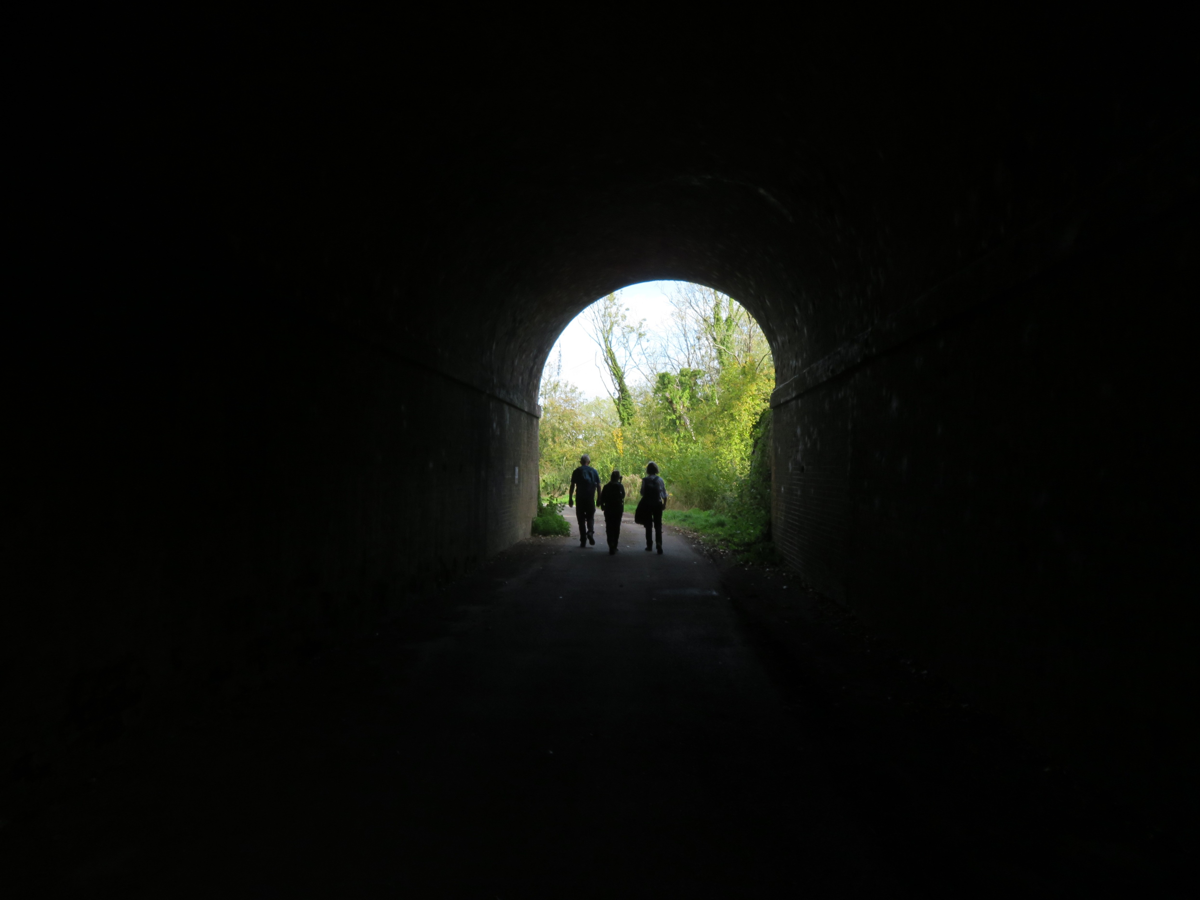 20251005 pic4