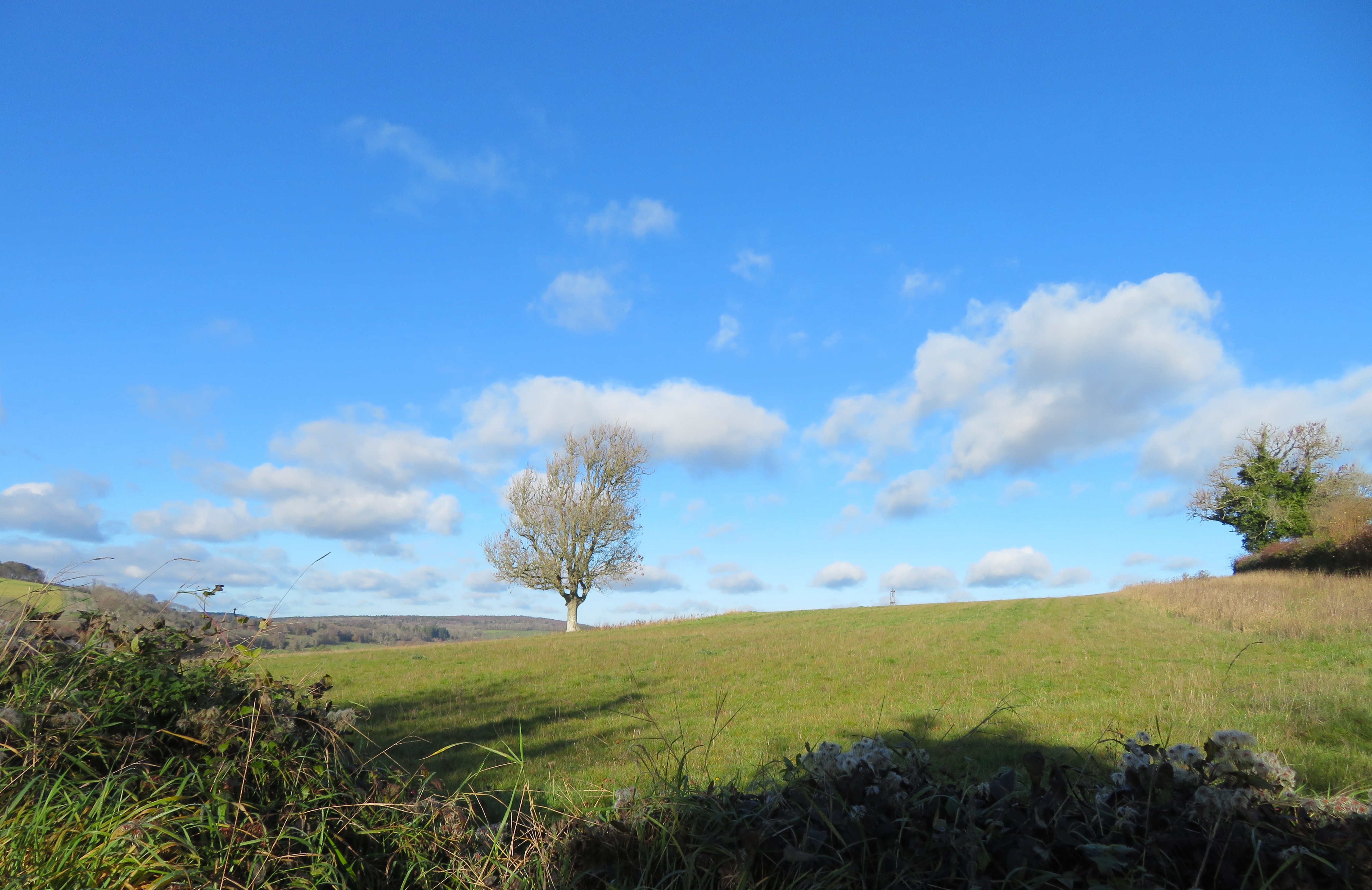 20251130 pic4