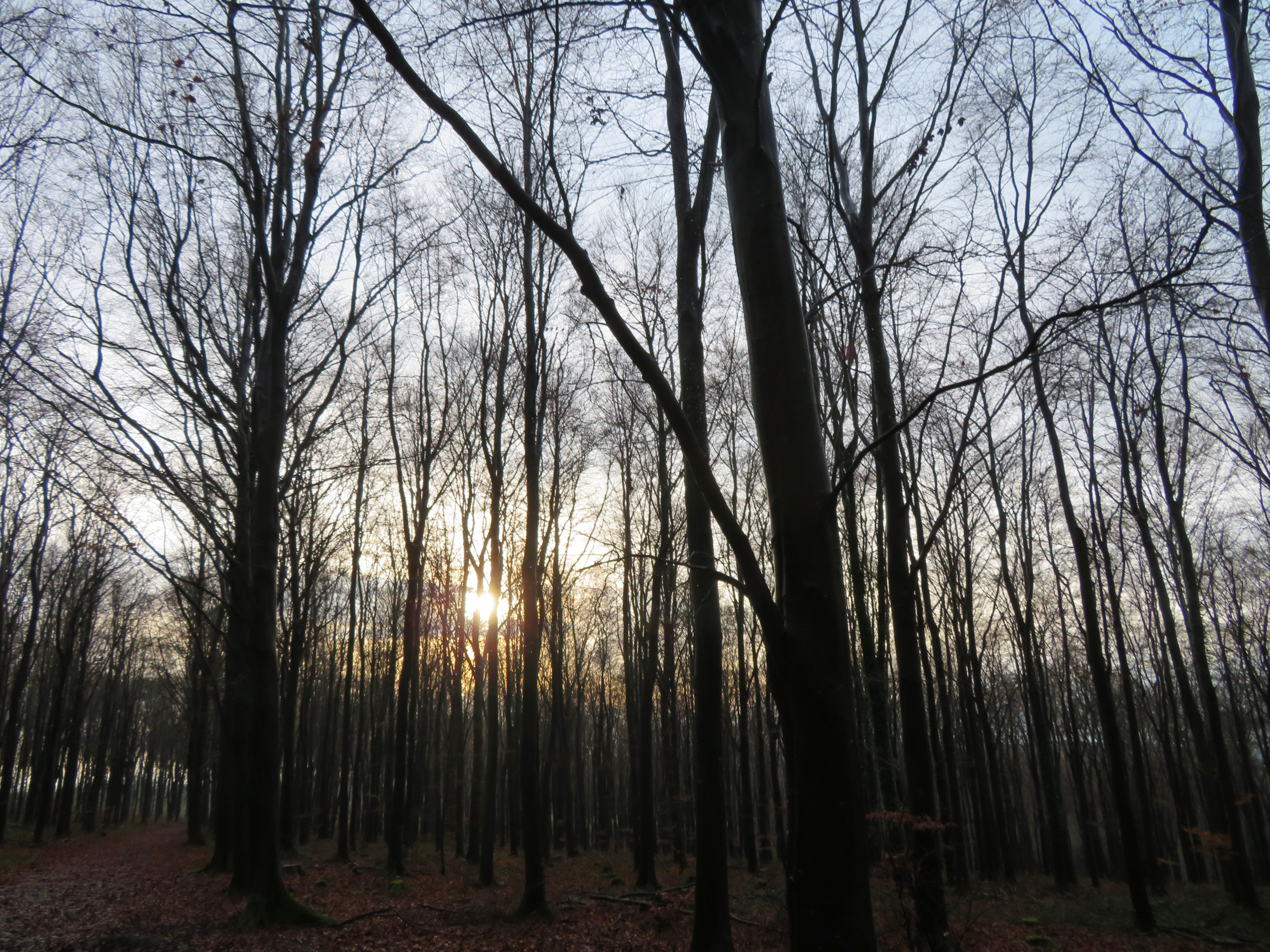 20251221 pic1