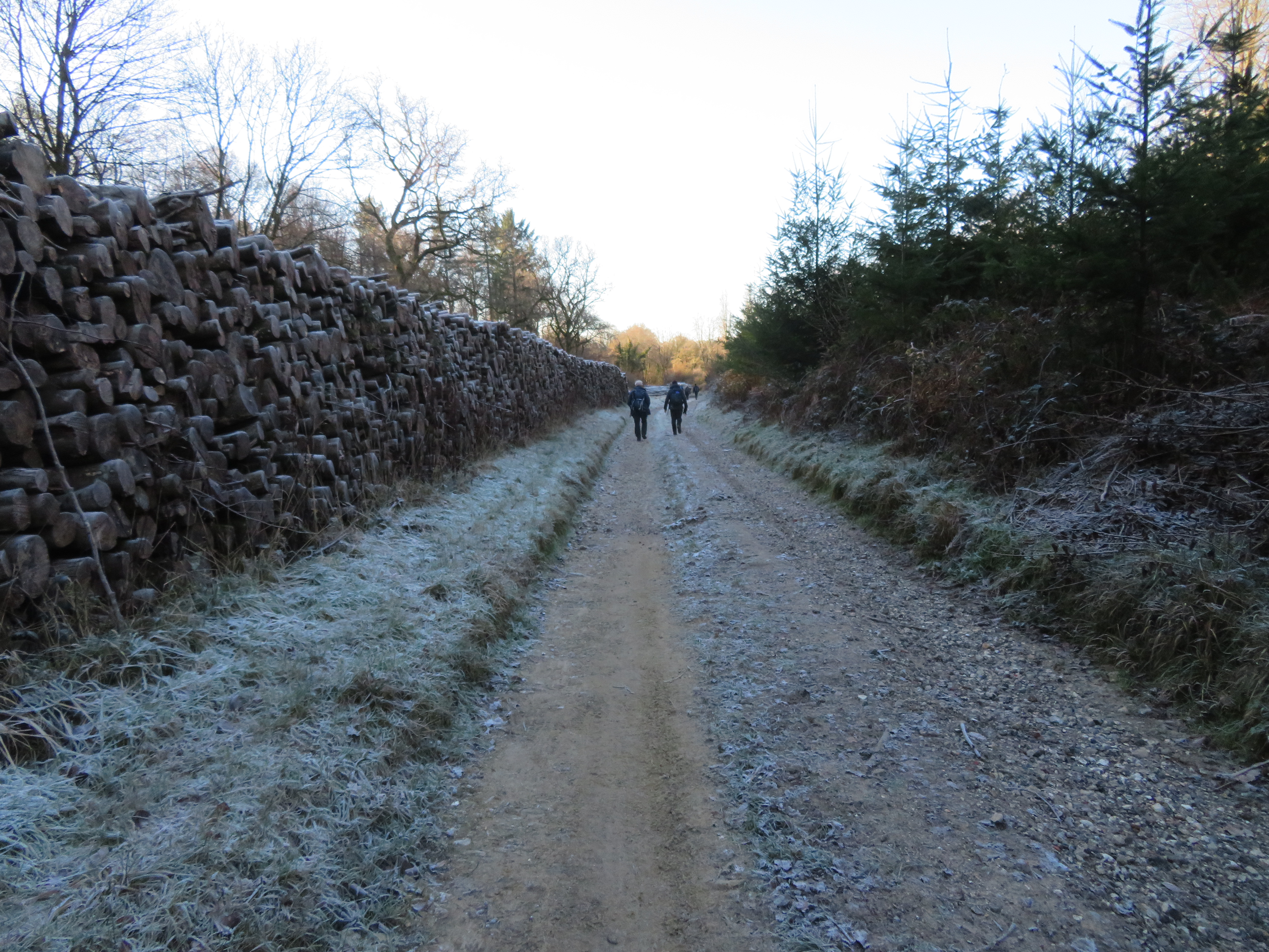 20260104 pic2